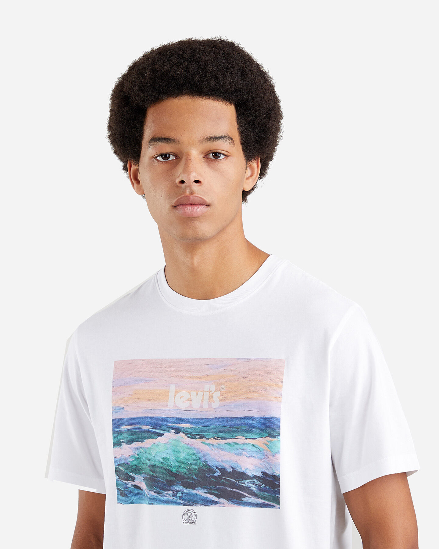  T-Shirt LEVI'S GRAPHIC WAVES M S4103063|0542|XS scatto 3