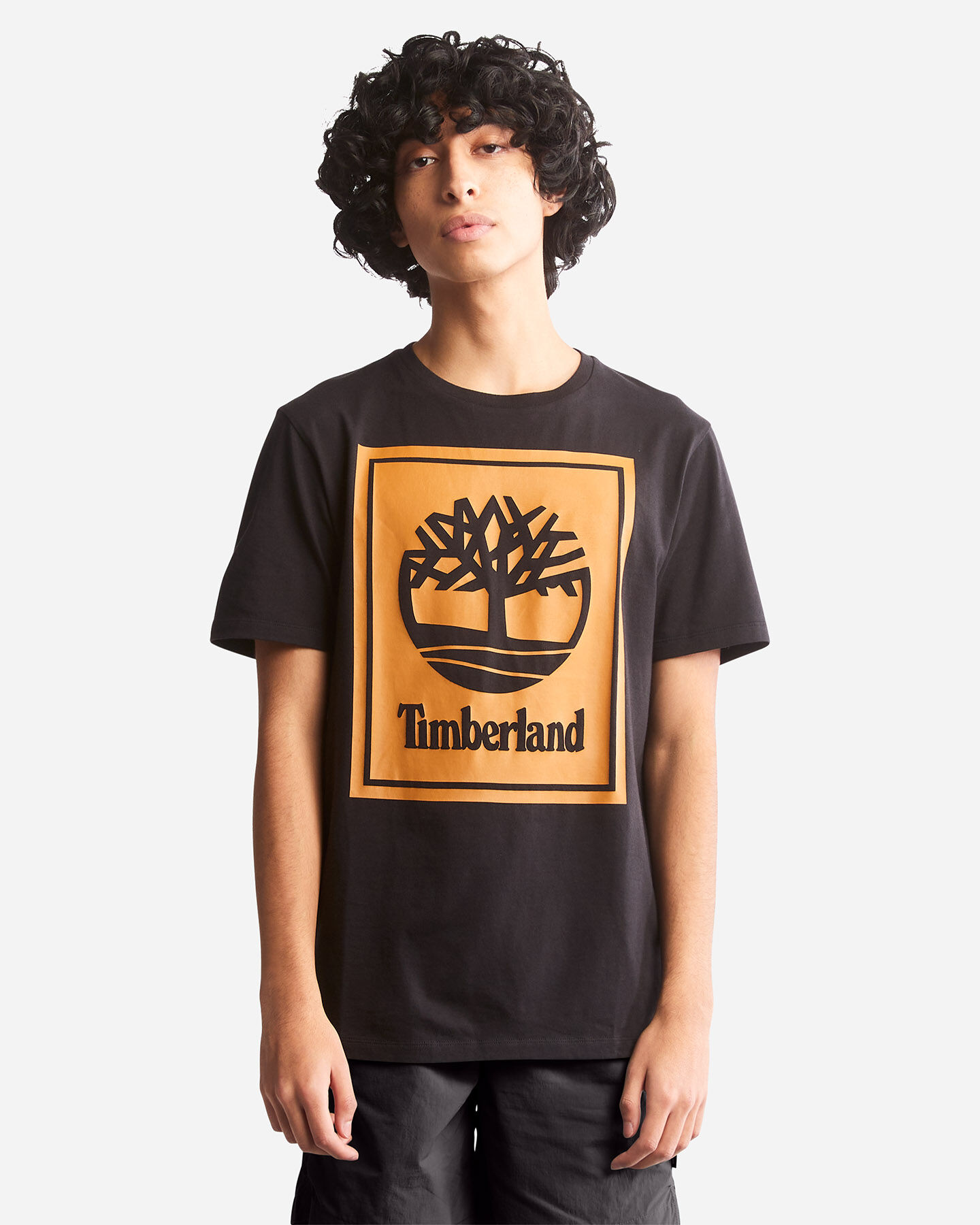  T-Shirt TIMBERLAND TREE LOGO LBTMF M S4104756|P561|S scatto 0