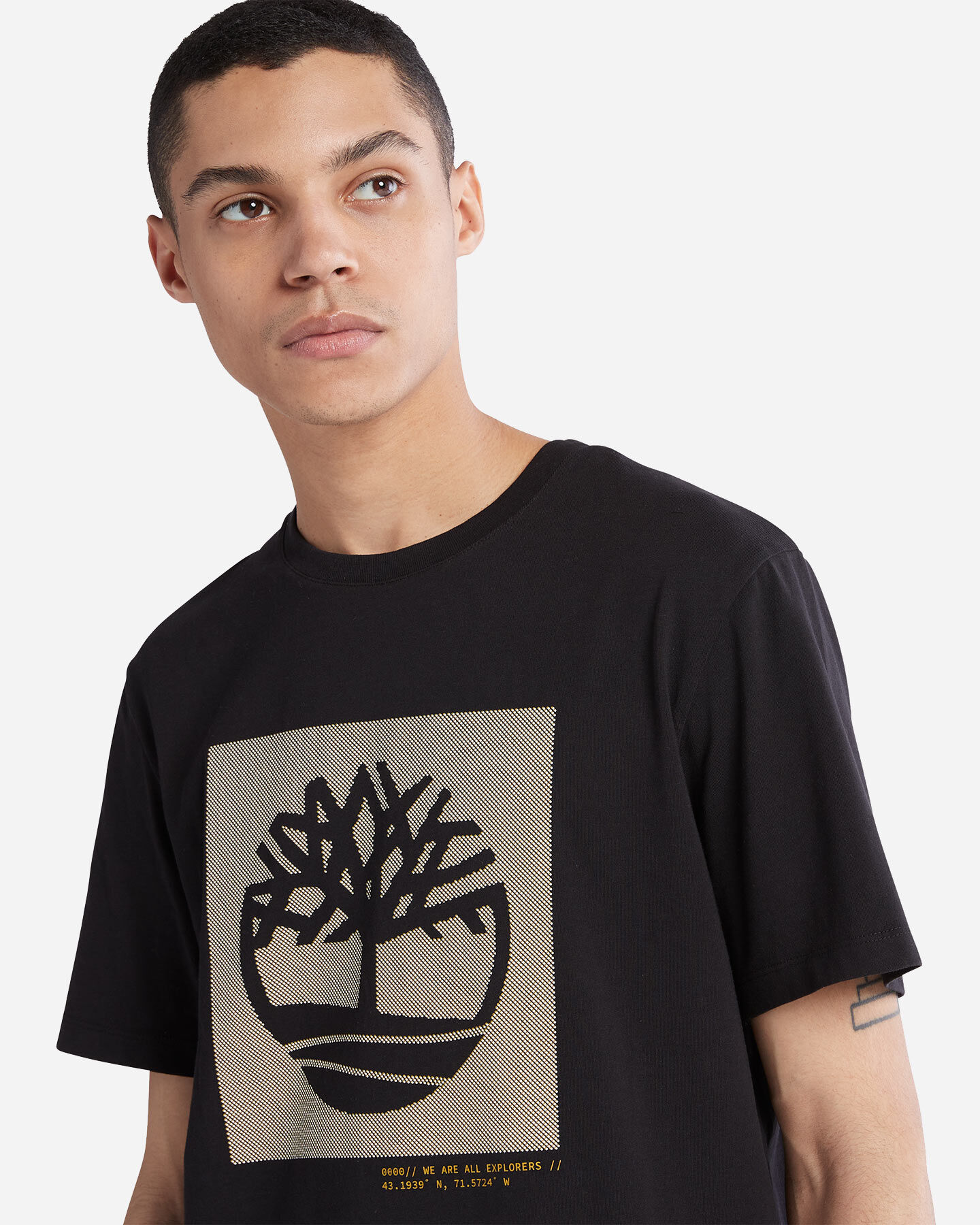  T-Shirt TIMBERLAND TREE LOGO GRAFIC M S4115301|0011|S scatto 4