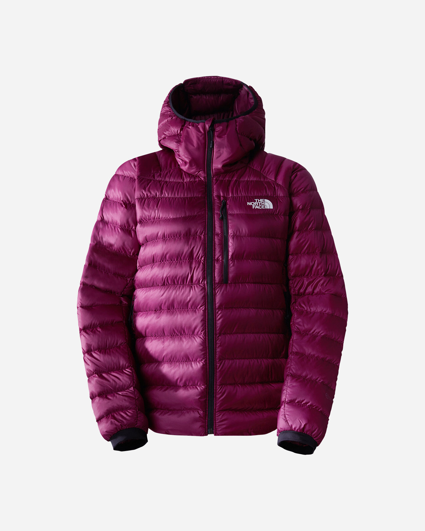  Giacca outdoor THE NORTH FACE SUMMIT BREITHORN W S5598136|I0H|L scatto 0