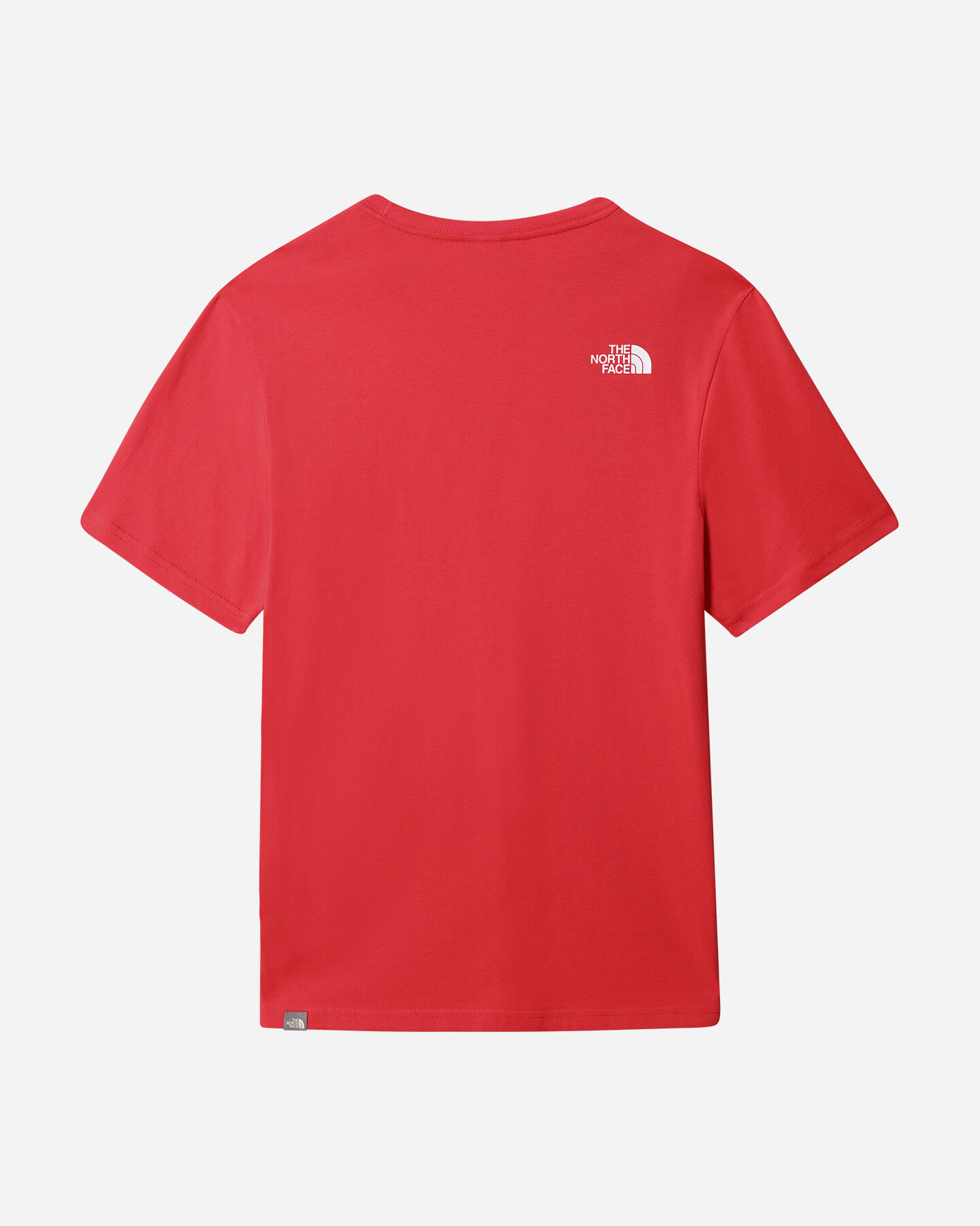  T-Shirt THE NORTH FACE EASY BIG LOGO M S5421999|V33|S scatto 1