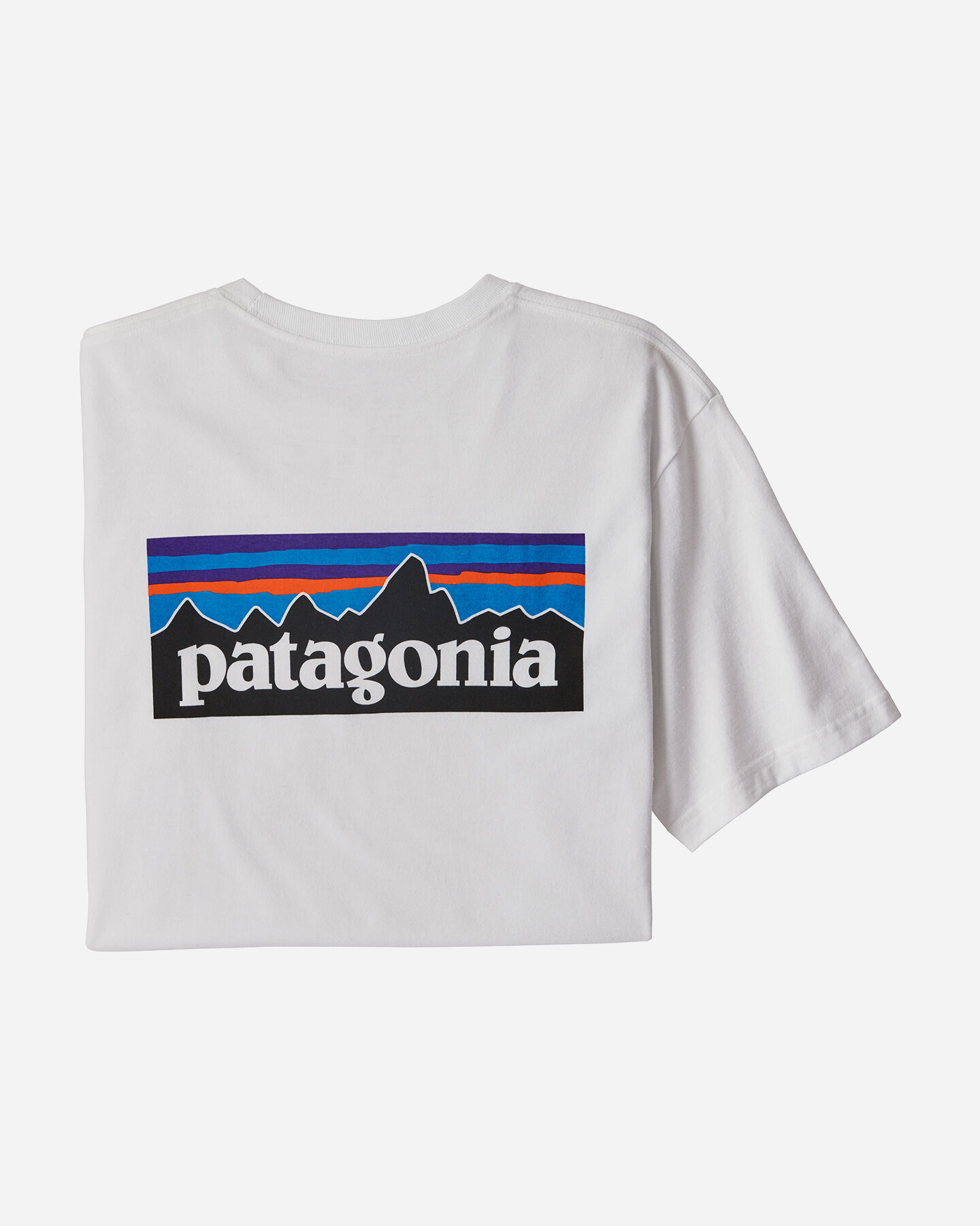  T-Shirt PATAGONIA BIG LOGO M S4089221|WHI|S scatto 3