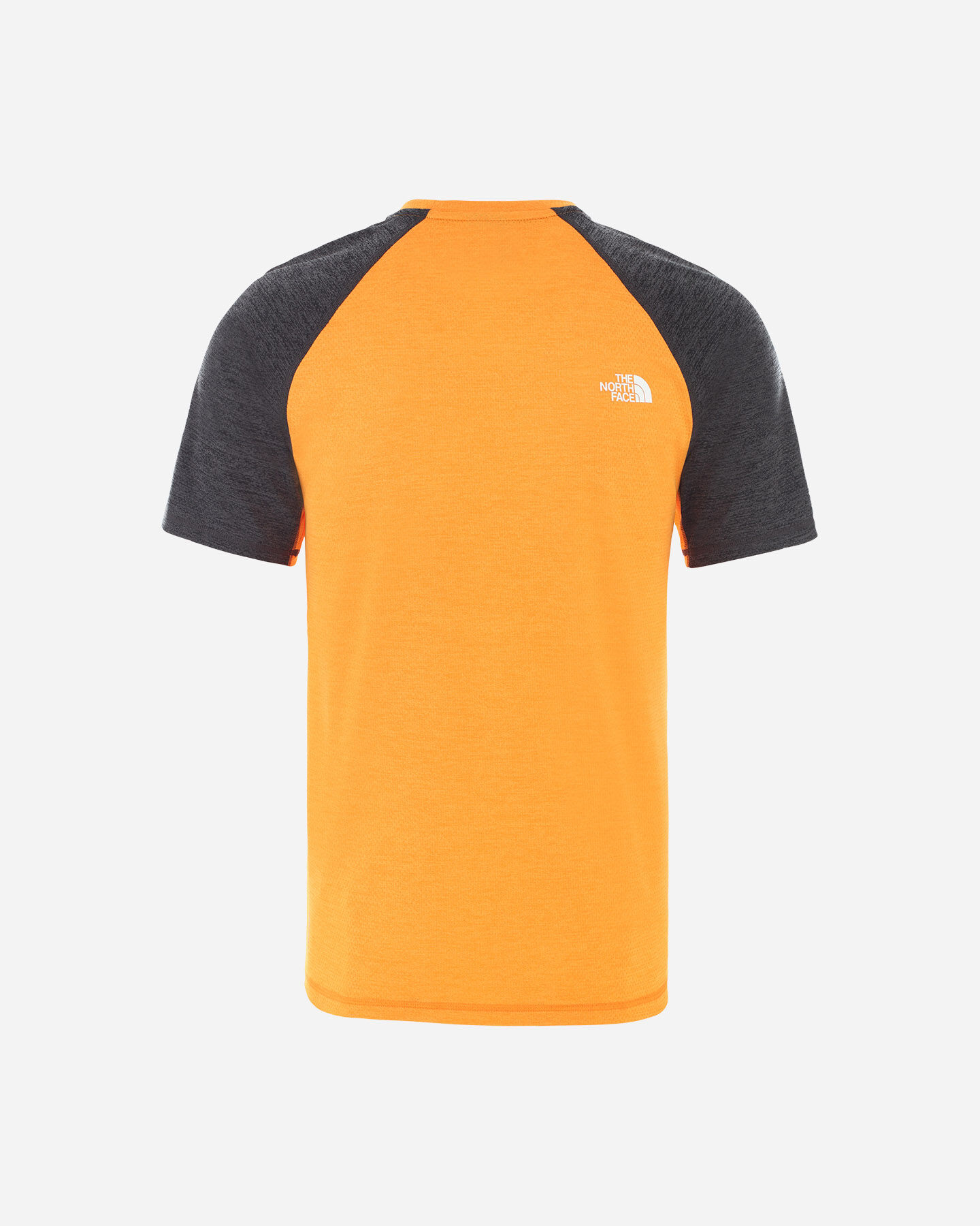  T-Shirt THE NORTH FACE VARUNE M S5203005|QD5|S scatto 1