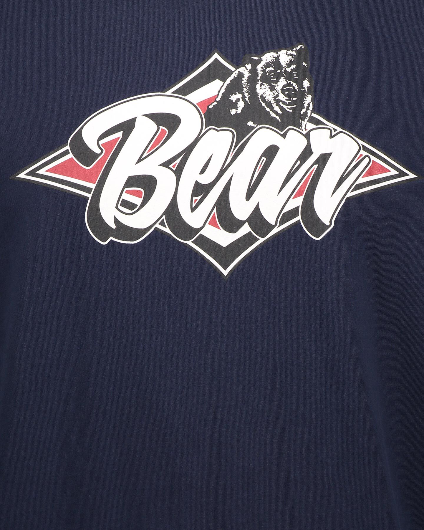 T-Shirt BEAR BASIC GRAPHIC M S4070892|0800|S scatto 2