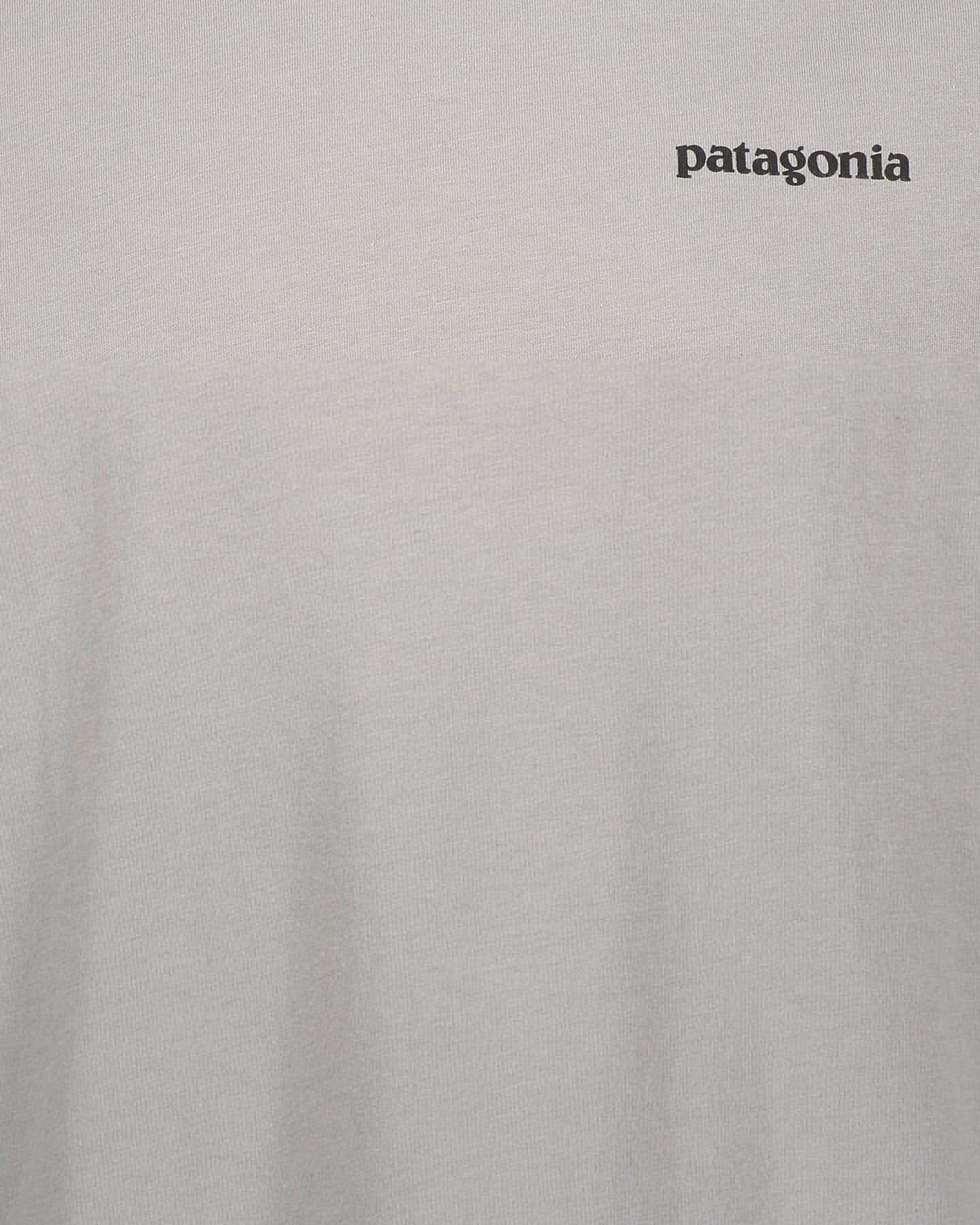  T-Shirt PATAGONIA P-6 LOGO ORGANIC M S4077569|1|S scatto 2