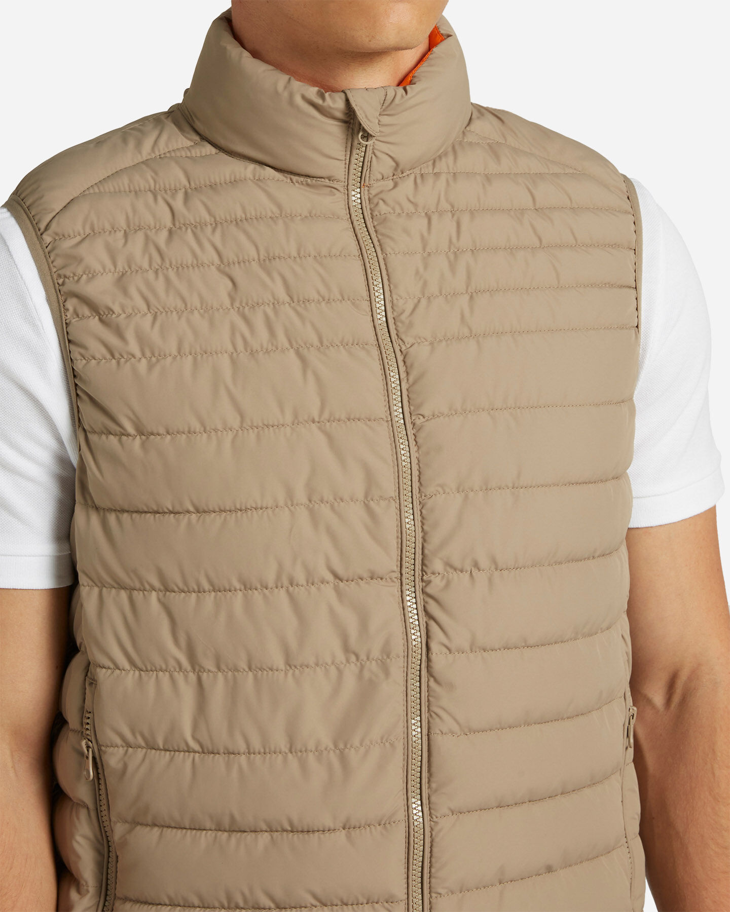  Gilet DACK'S BASIC COLLECTION M S4118676|1154/1117|L scatto 4