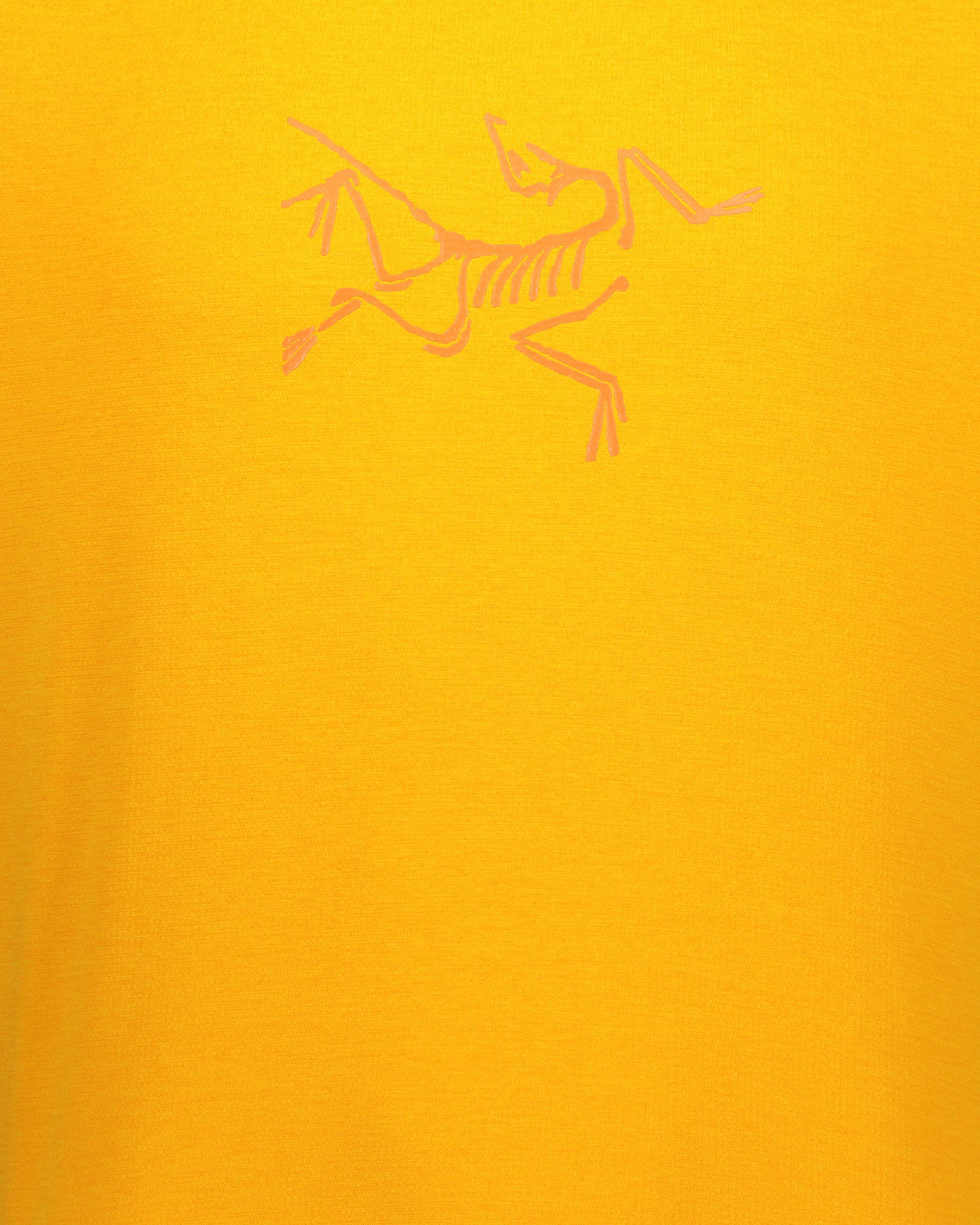  T-Shirt ARC'TERYX CORMAC LOGO M S4089755|1|S scatto 2