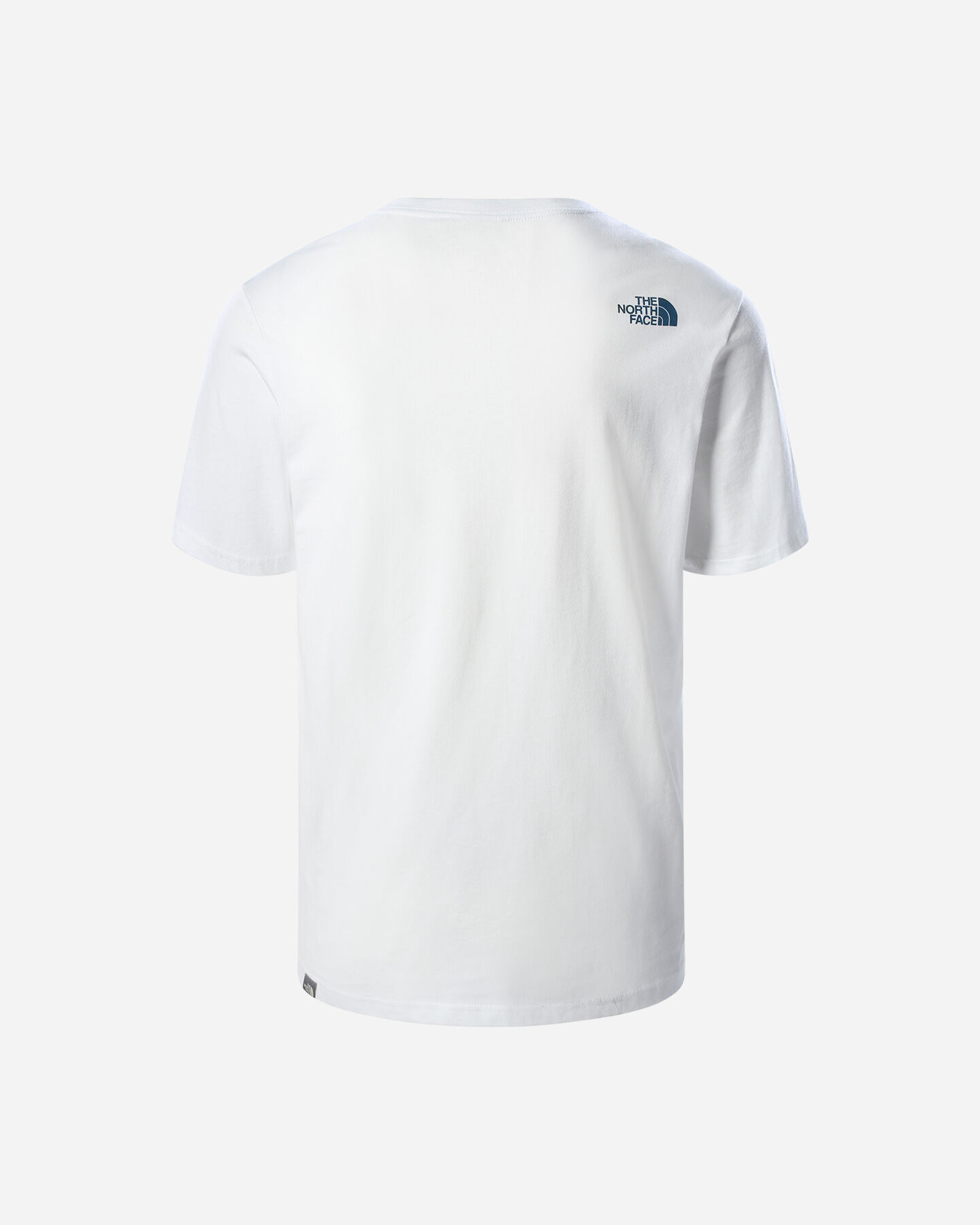  T-Shirt THE NORTH FACE CAMPAY BIG LOGO M S5296496|FN4|XS scatto 1