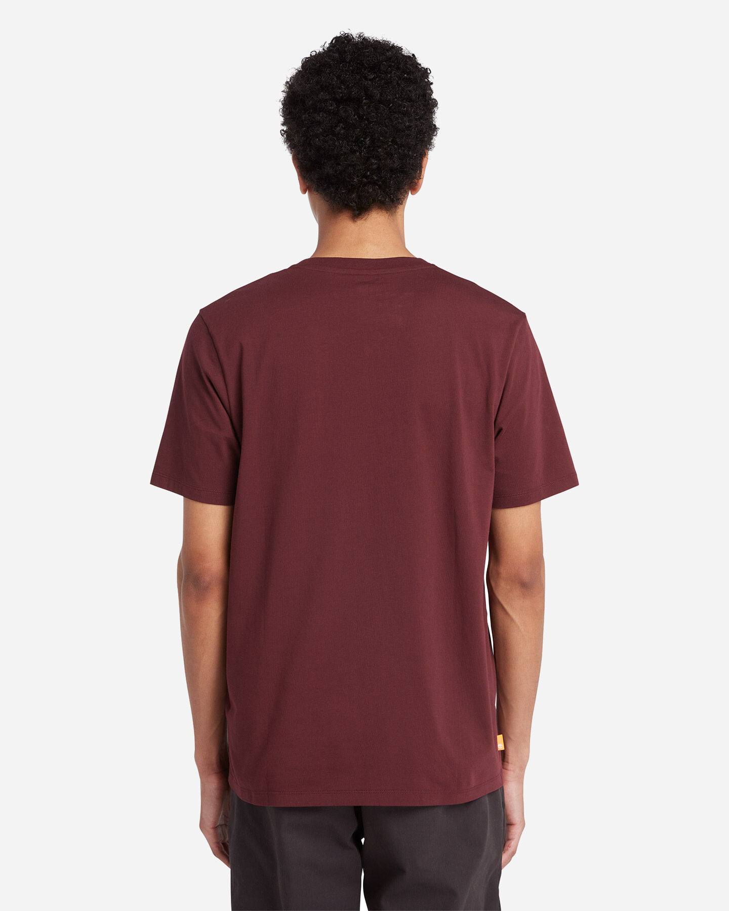  T-Shirt TIMBERLAND KENNEBEC M S4127275|I301|S scatto 2