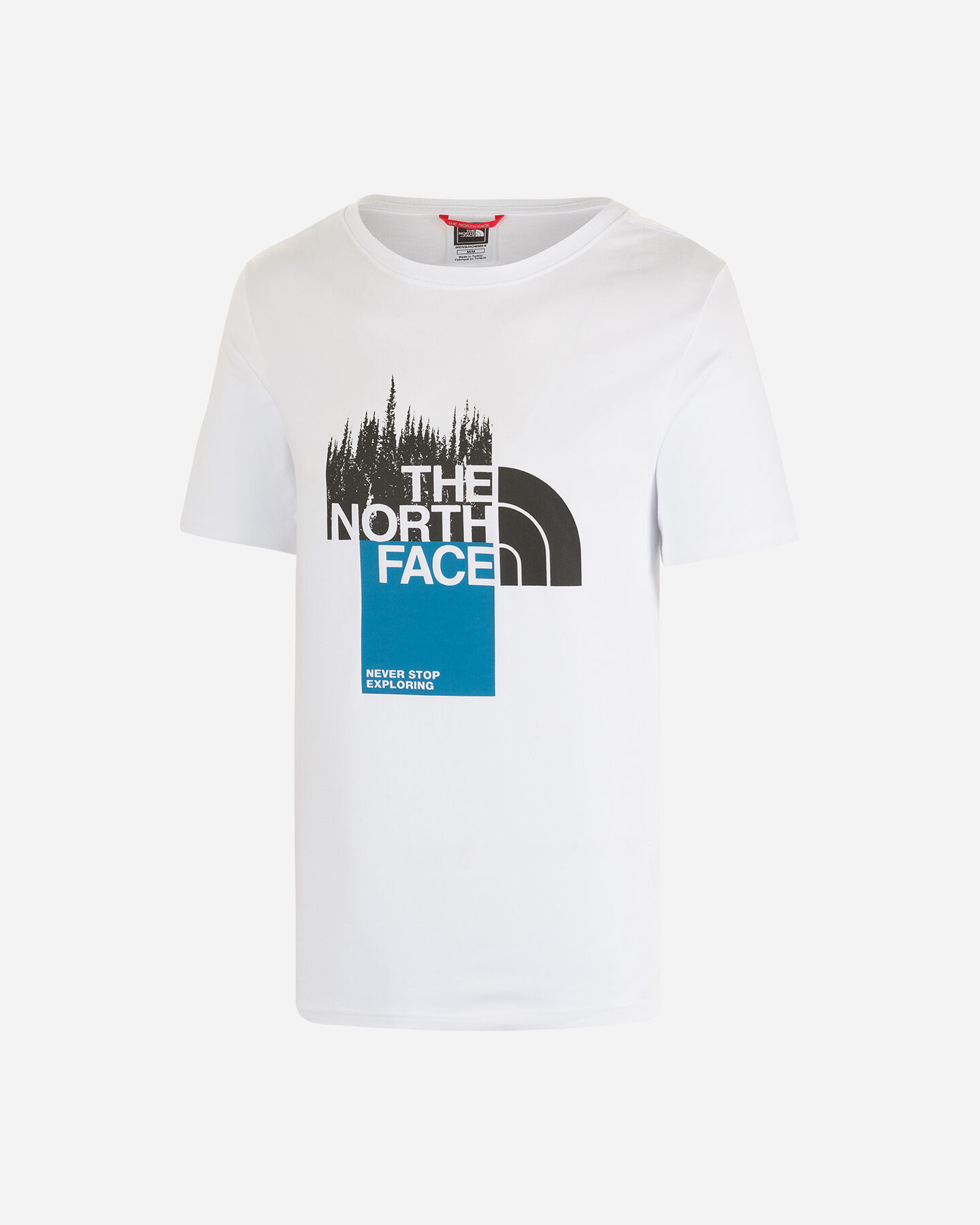  T-Shirt THE NORTH FACE ODLES GRAPHIC BIG LOGO M S5430765|FN4|XS scatto 0