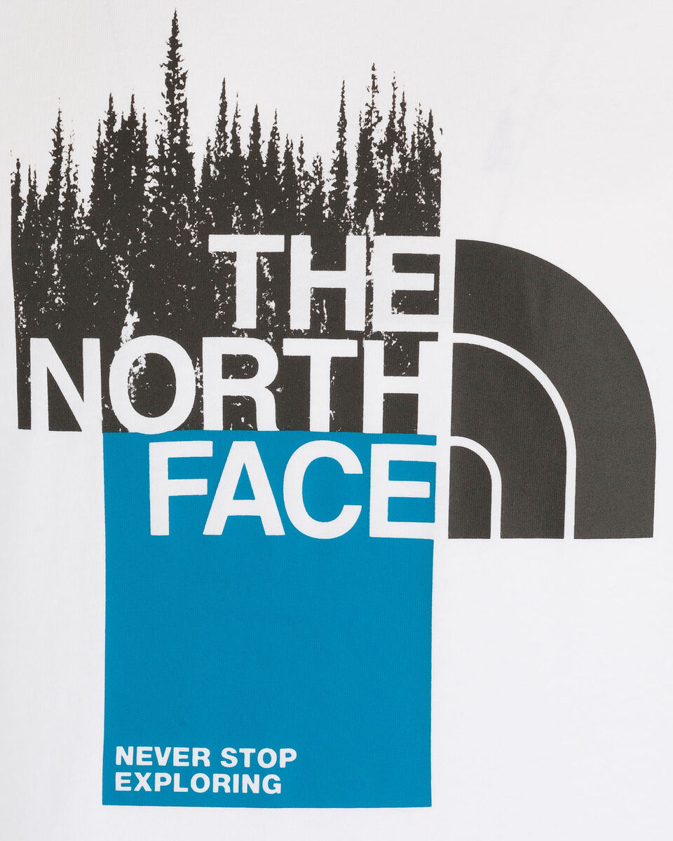  T-Shirt THE NORTH FACE ODLES GRAPHIC BIG LOGO M S5430765|FN4|XS scatto 2
