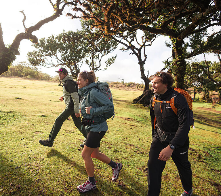 Gruppo di ragazzi che fanno trekking in vacanza
