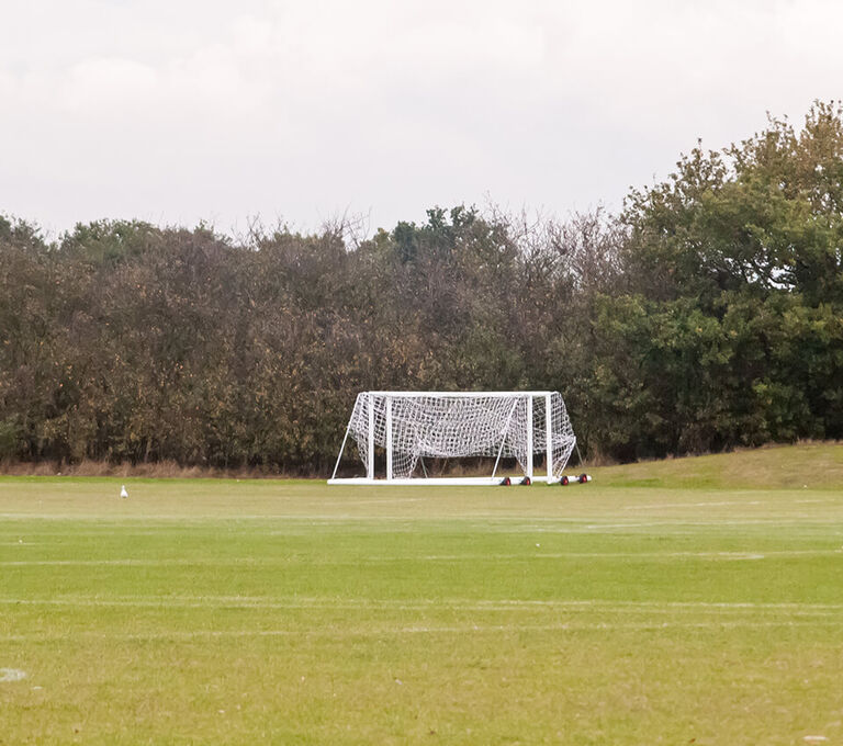 Campo di erba naturale