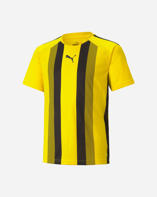 Teamliga jr