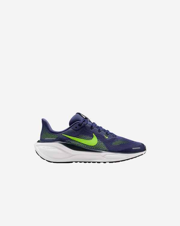 Pegasus 42 jr