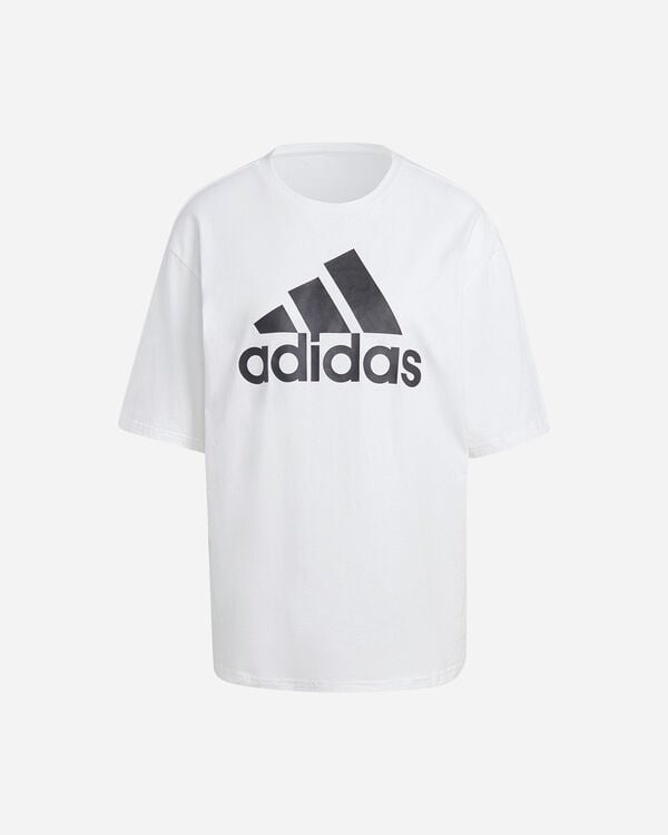 Big logo w