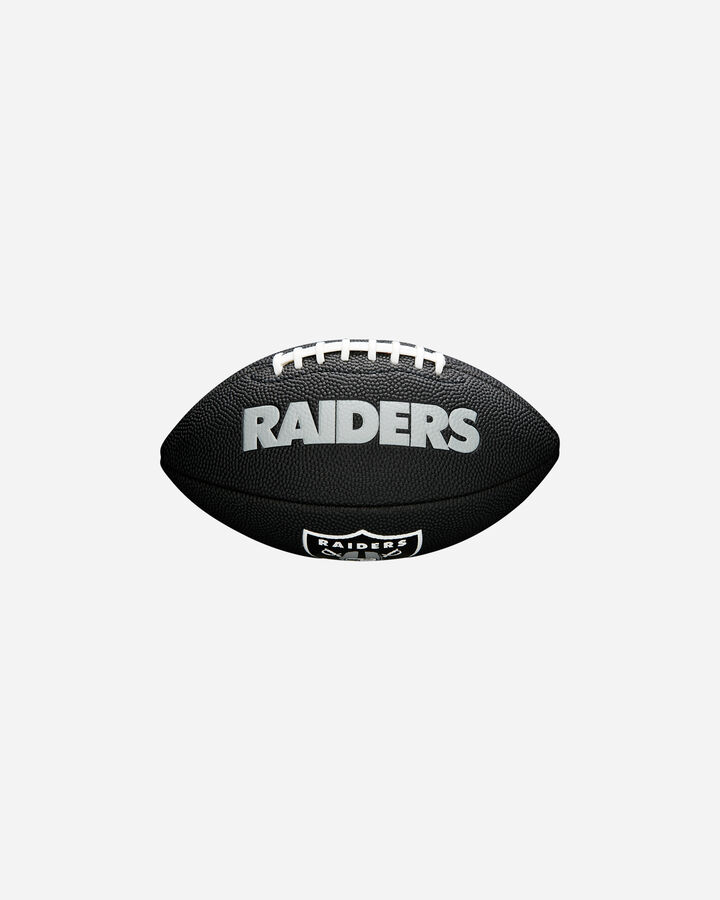 Nfl team 