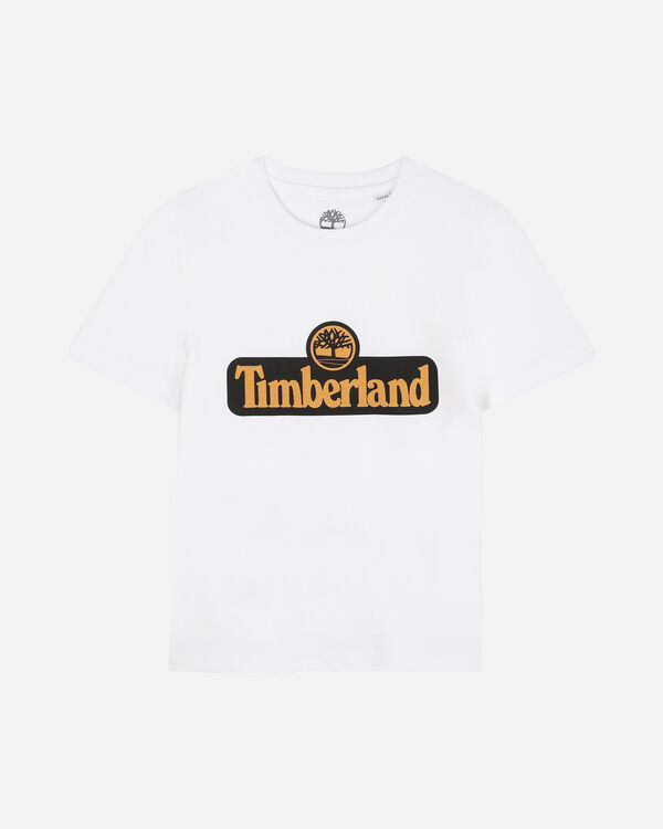 Linear logo jr