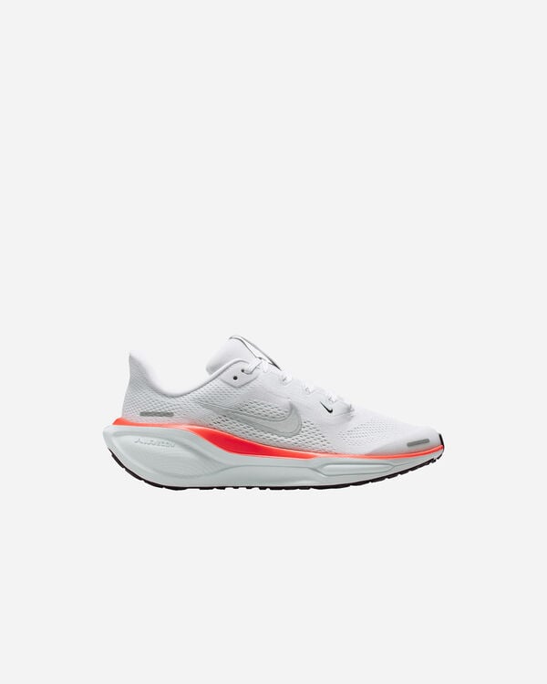 Pegasus 41 jr