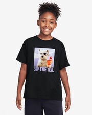 Terrier jr - Nero