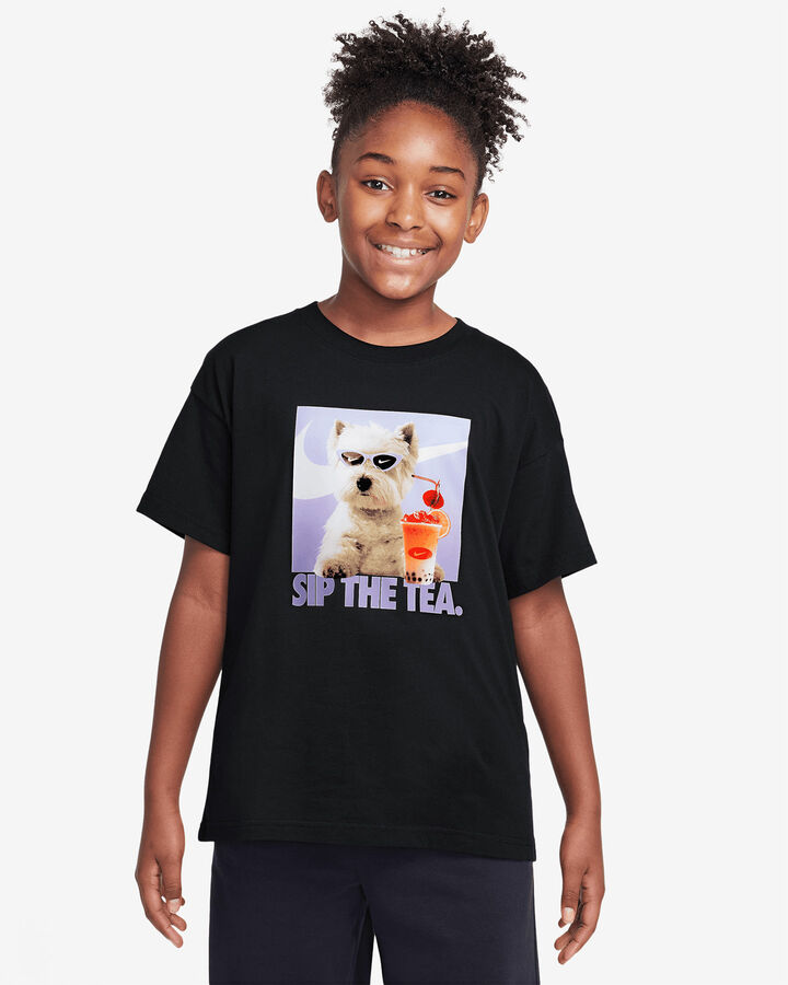 Terrier jr