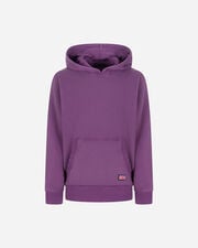 Basic flag jr - Viola