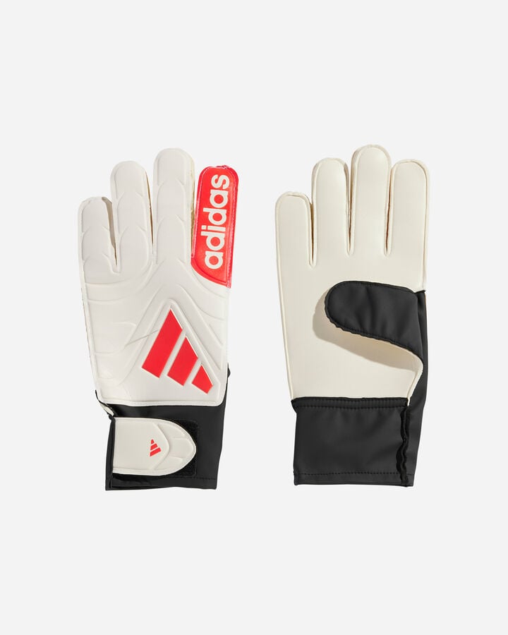 Copa gl club m