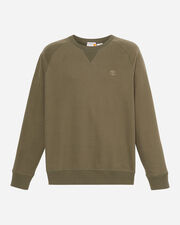 Exeter river m - Verde