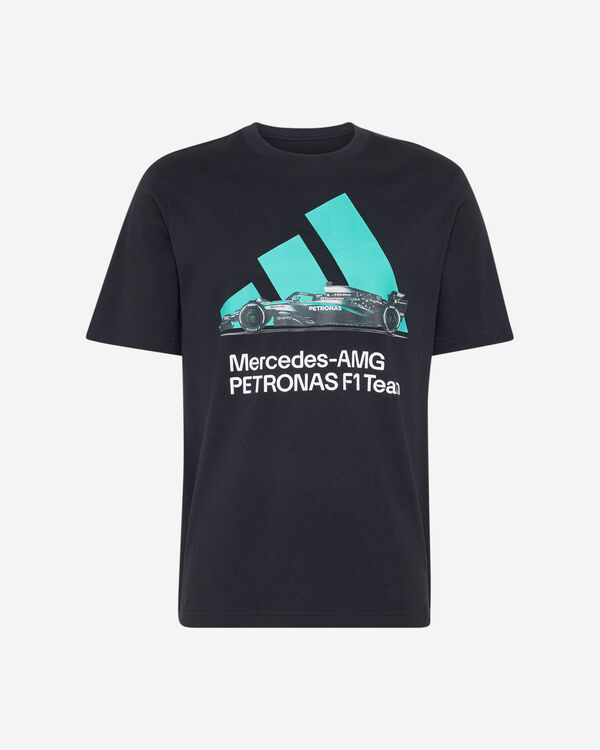 Mercedes - amg petronas formula 1 team m
