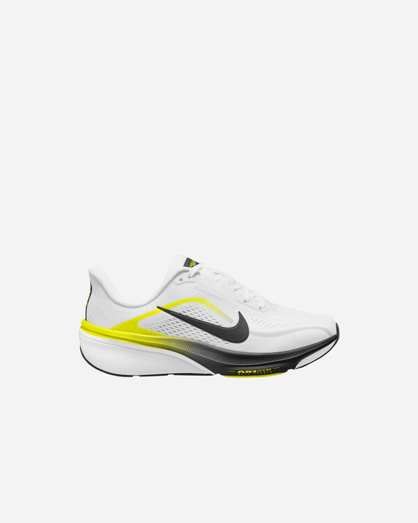 Pegasus 42 jr