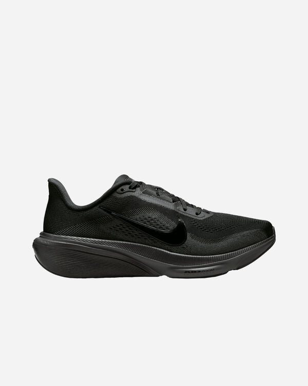 Pegasus 42 w