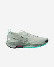 Pegasus trail 5 gore-tex m - Grigio