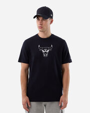 Chicago bulls logo m - nd_S6111365-410
