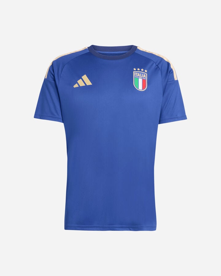 Italia figc home fan m