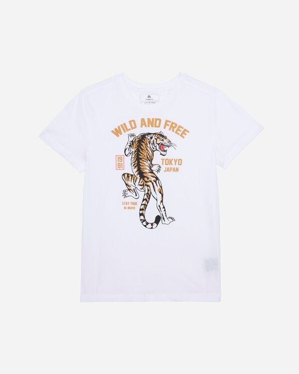 Tiger jr