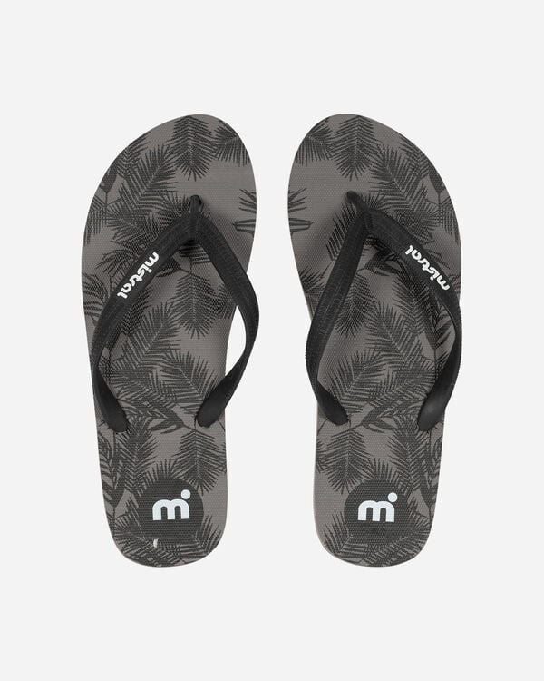 Black palm m