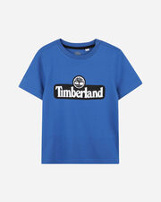 Linear logo jr - Azzurro