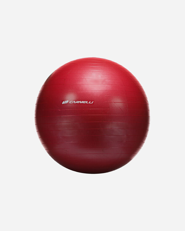 Gymball 55