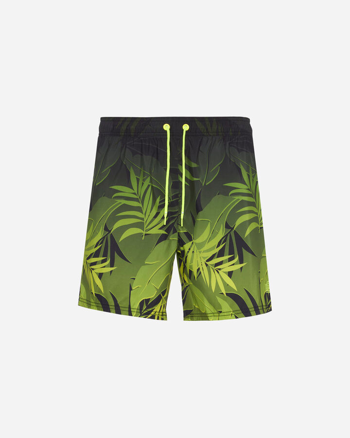 Dark foliage m
