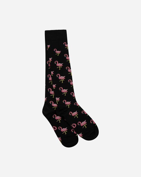 Flamingos long m