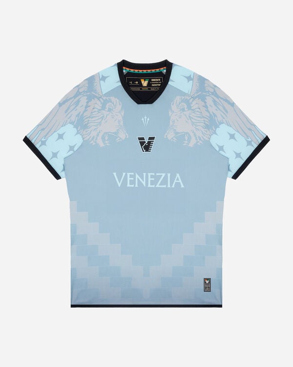Venezia fourth lion 25-26 m