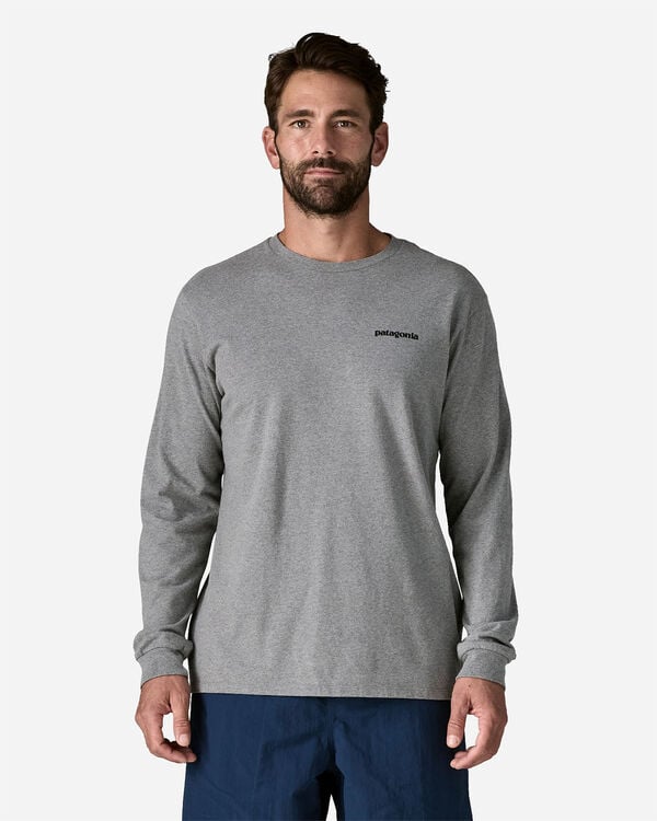 P-6 logo m