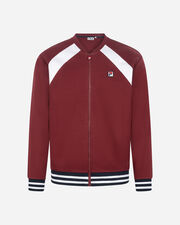 Classic dynamism m - Viola