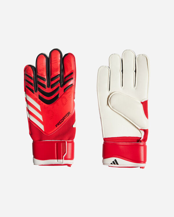Predator gl mtc m