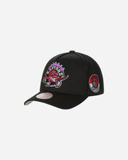 Snapback raptors  - nd_S4152095-1