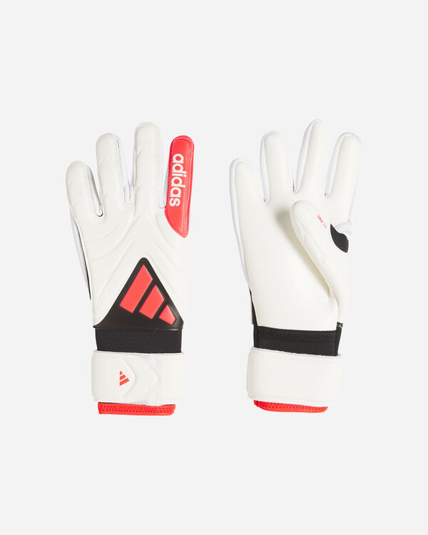 Copa gl lge jr