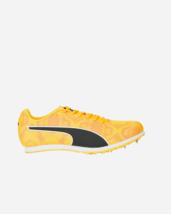 Evospeed star 8 m