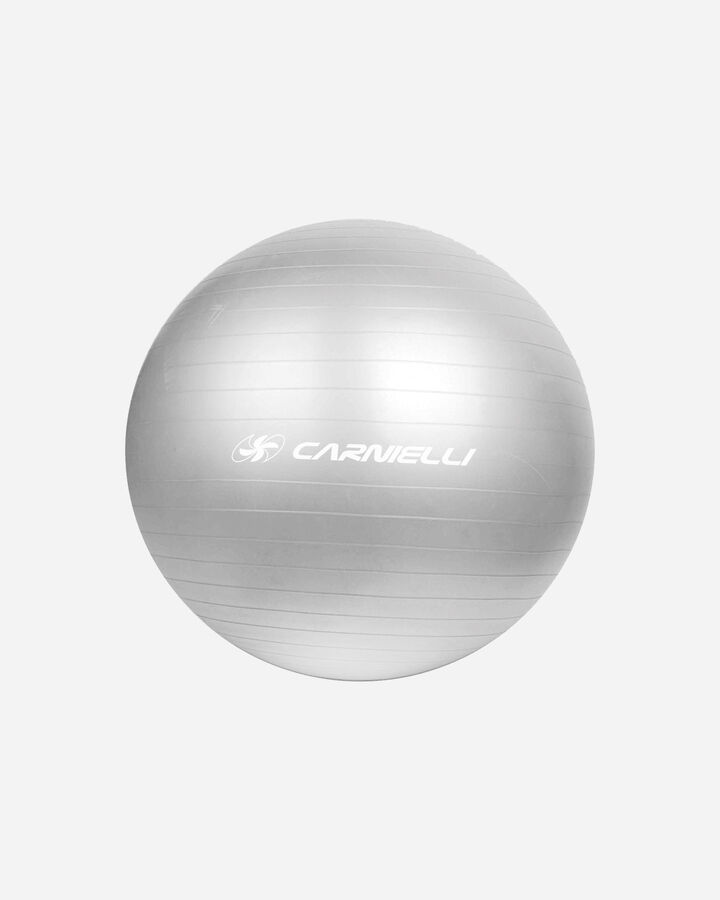 Gymball 65