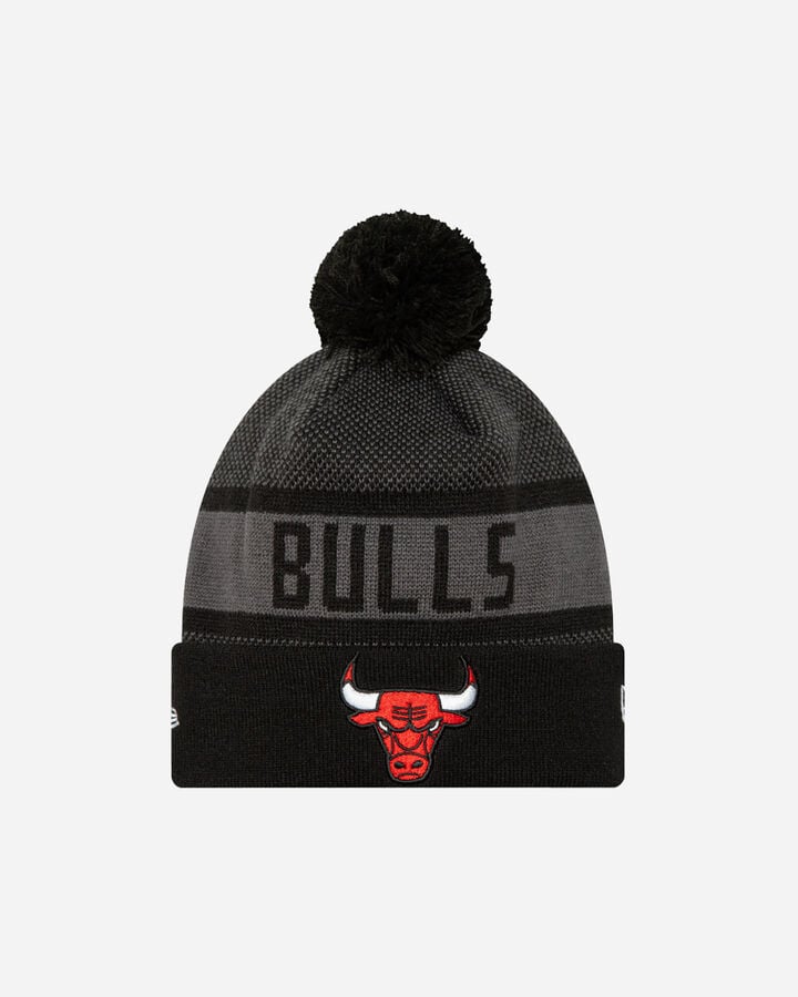 Nba jake chicago bulls 