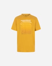 Regular jr - Giallo